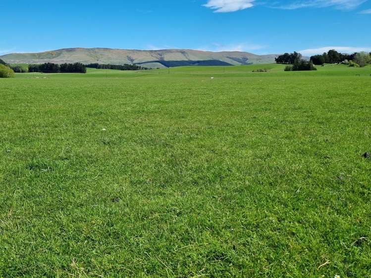 199 Moa Hill Road Clinton and Surrounds_16