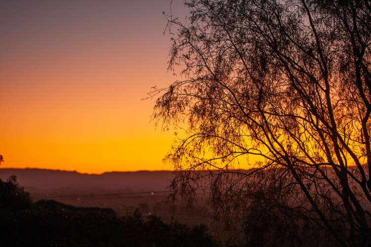 6 Rowe Road Ohauiti_33