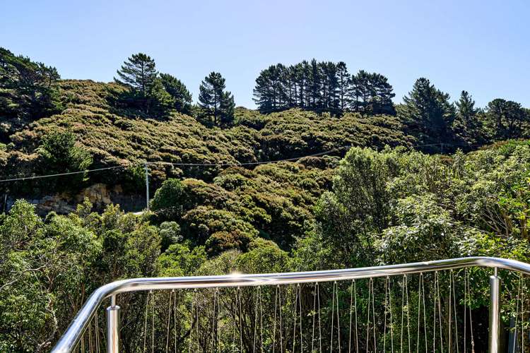 101 Cluny Road Plimmerton_23