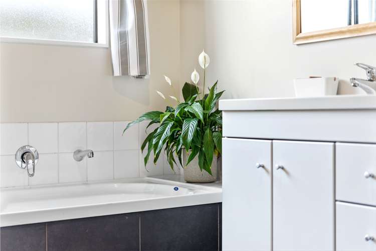 15 Waipuna Street Mayfield_32