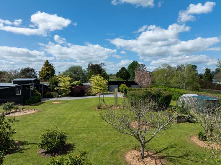 52A Lissette Road Newstead_17