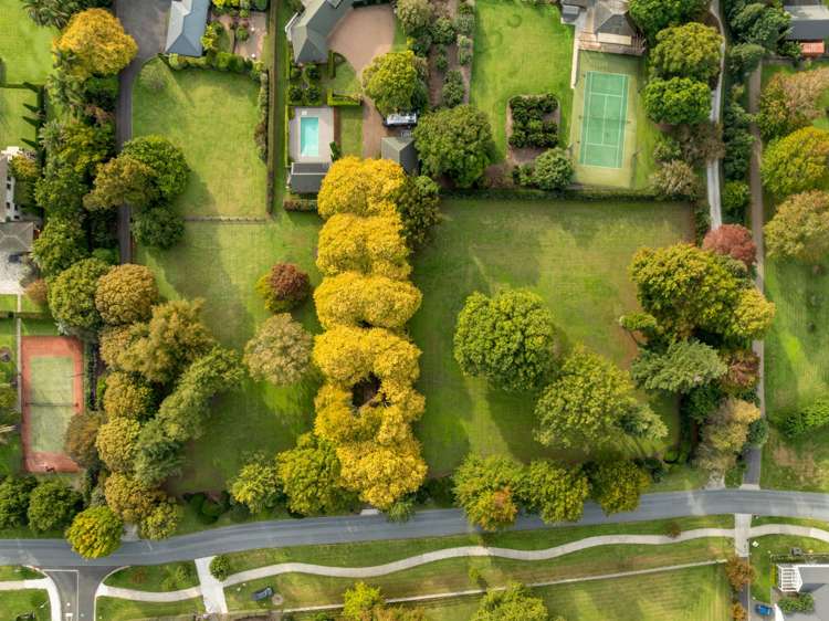 59c Western Avenue Omokoroa_16