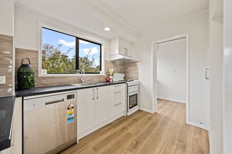 54 Rosier Road Glen Eden_9