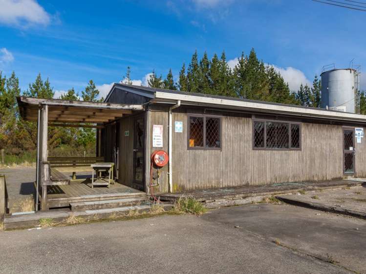 50 Mamaku Street Mamaku_16