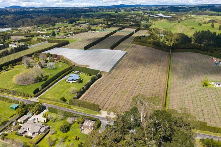 43 Jensen Road Omanawa_13