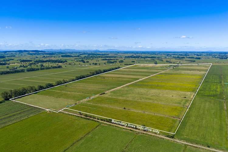 331 Kneebone Road Orini_32