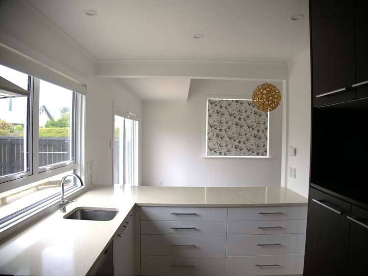 17 Campbell Street Karori_5