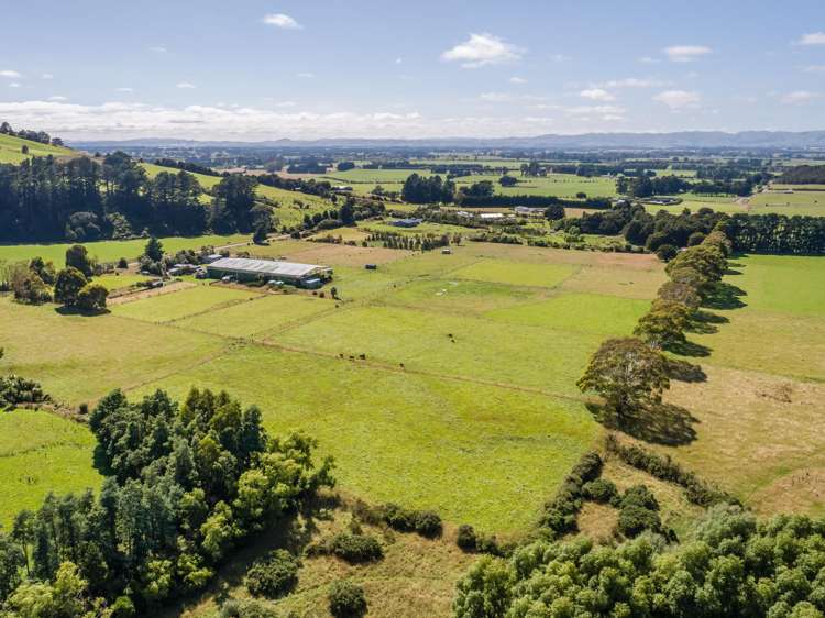 89 Hinau Gully Road Carterton_16