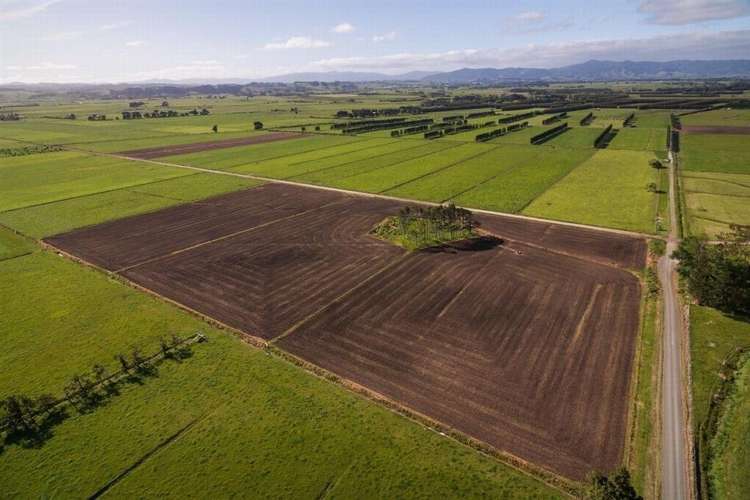 73 West Road Awanui_3