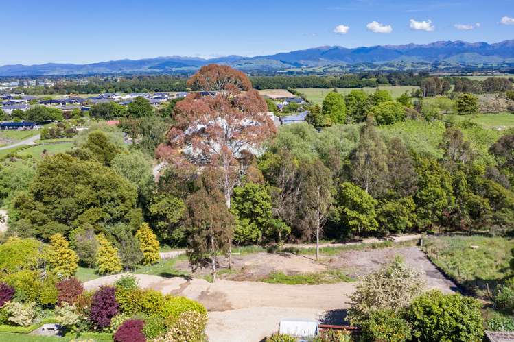 91 Titoki Street Masterton_7