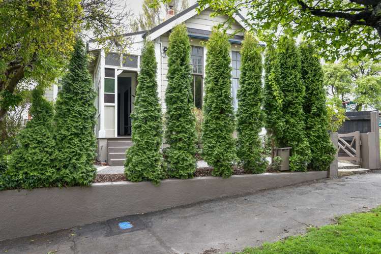 8 Mcmillan Street Maori Hill_2