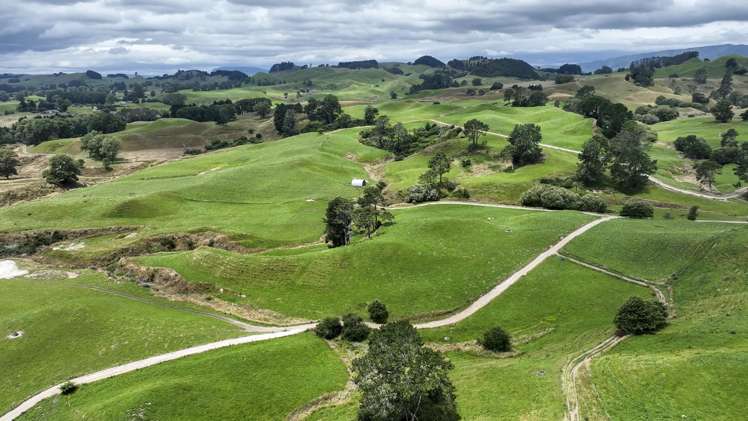 290 Parsons Road Atiamuri_7