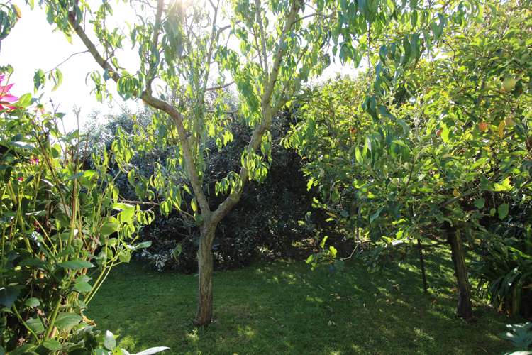 21 Shirtliff Street Riversdale_23