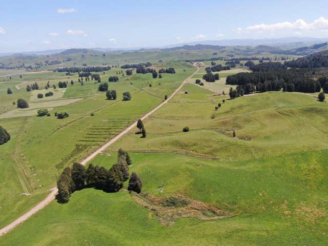 24 Pukeuha Road Aria_1