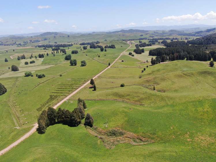 24 Pukeuha Road Aria_1