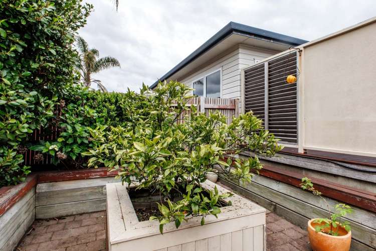 24 Bracken Street Whakatane_11