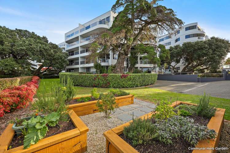2C/171 Hurstmere Road Takapuna_20