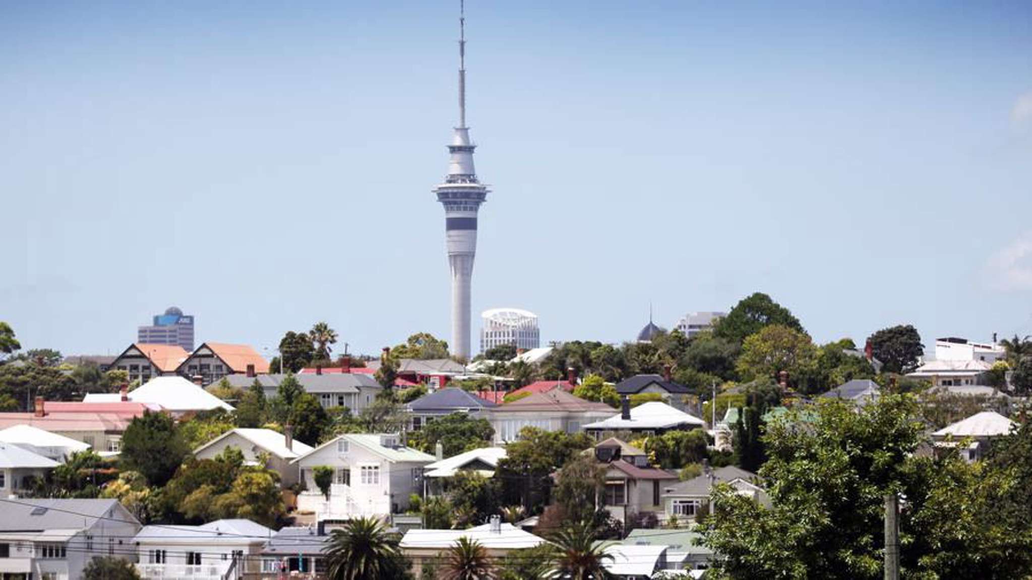 Auckland now a buyer's market'