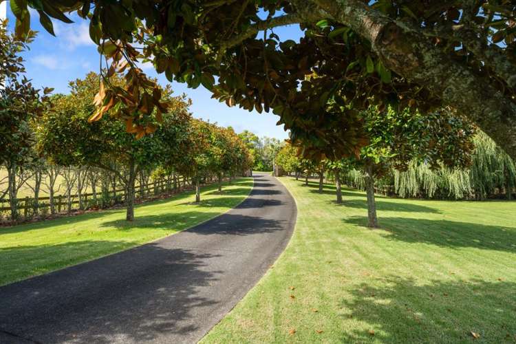 11 Heard Road Ardmore_25