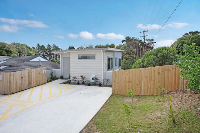 5 Cunliffe Street Johnsonville_1