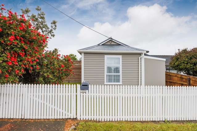 153 Seabury Avenue Foxton Beach_4