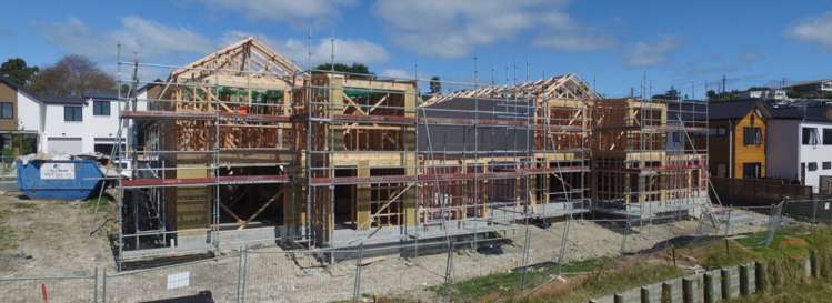 Andre Rise Stanmore Bay_1