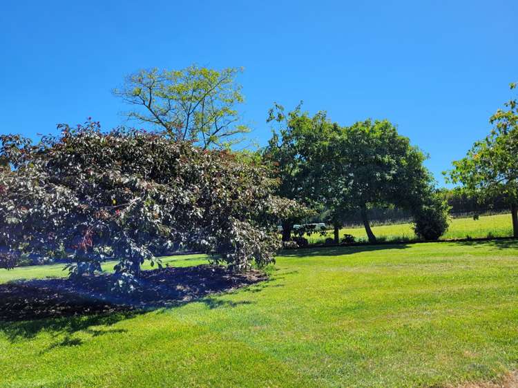 18 Jessop Street Oamaru_25