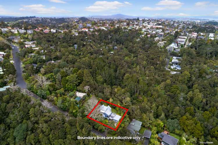 48 Kauri Road Birkenhead_18