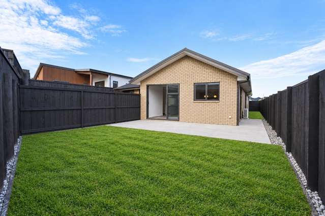26 Morrin Street Morrinsville_4