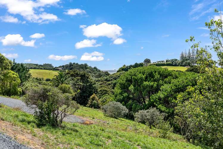 Lot 2 & 3 Landowners Lane Tutukaka_19