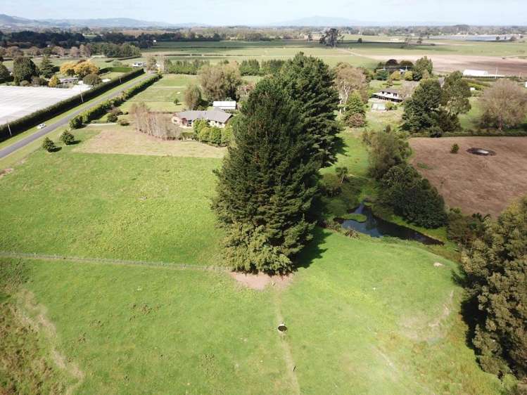 23 Trentham Road Matangi_2