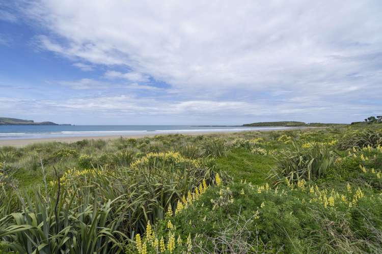 497 Waikawa Curio Bay Road Wyndham Surrounds_16