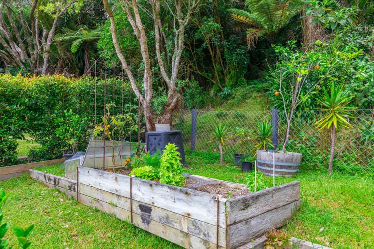 49 Foster Avenue Huia_13