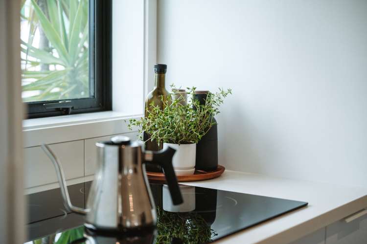 12 Mata Lane Stanmore Bay_8