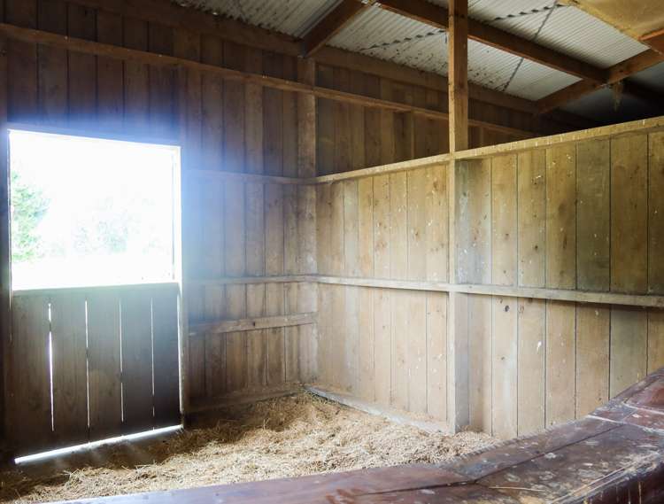 388 Mount Wesley Coast Road Dargaville_12