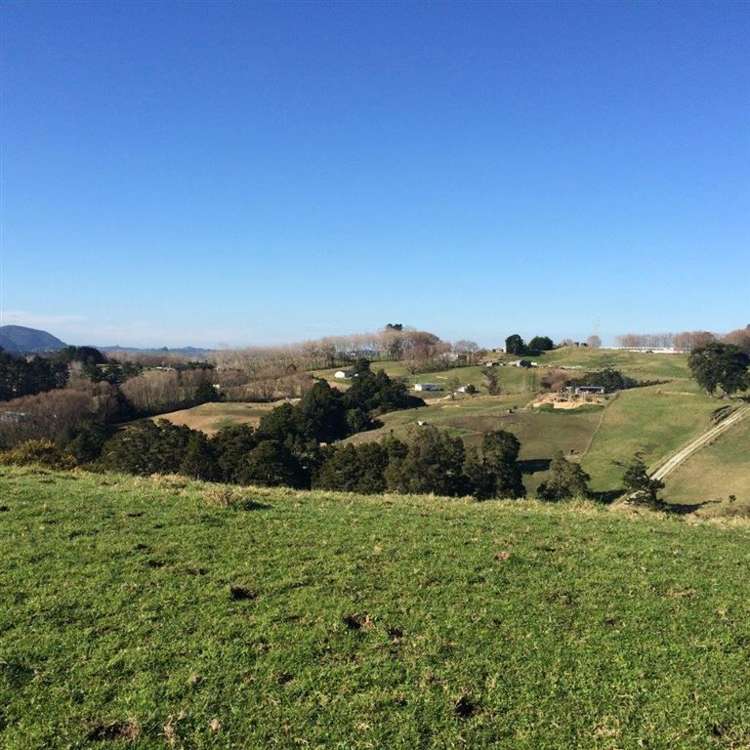 62 Kiwi Lane Kaiwaka_3