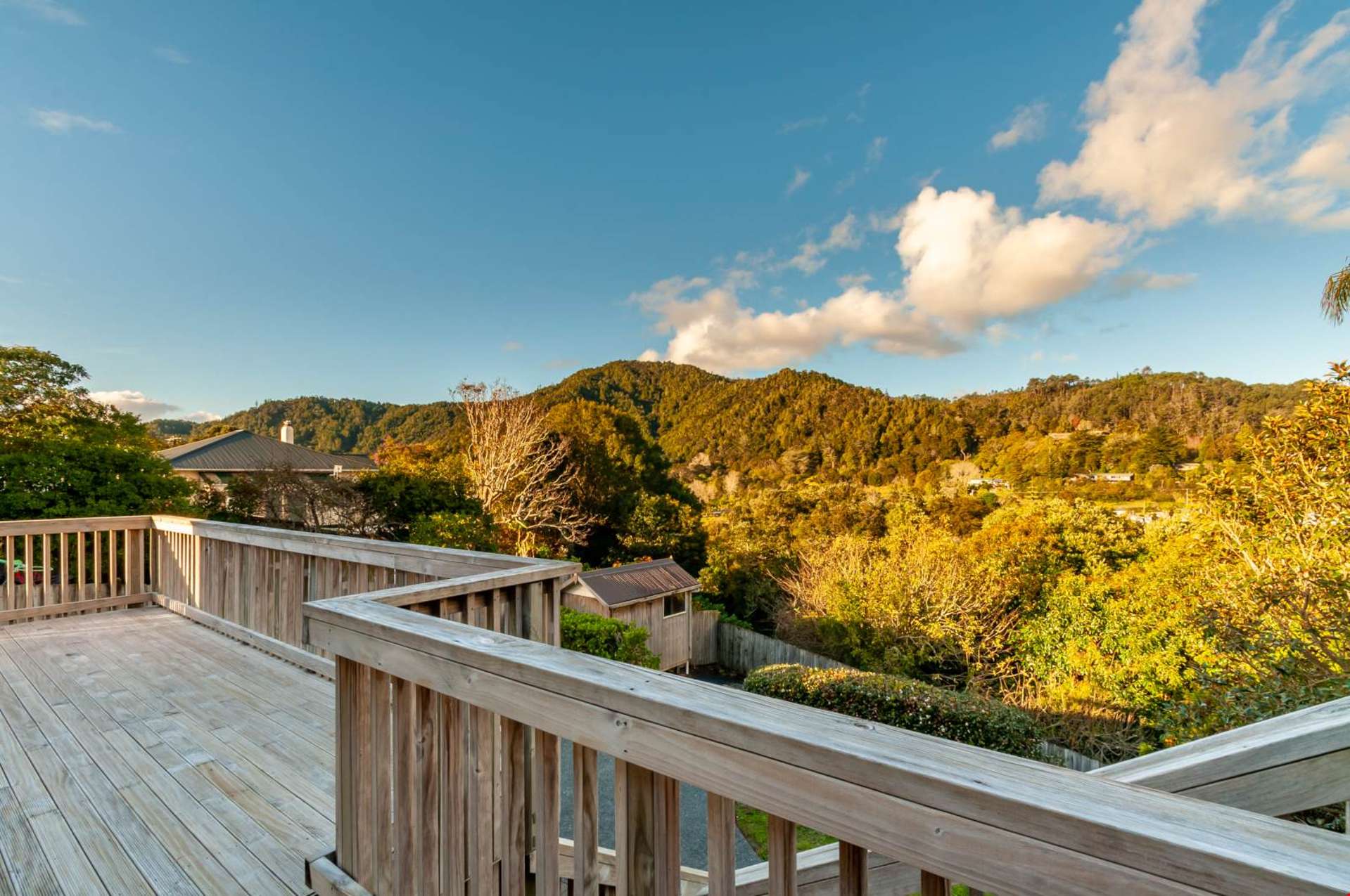 3 Neil Street Regent_0