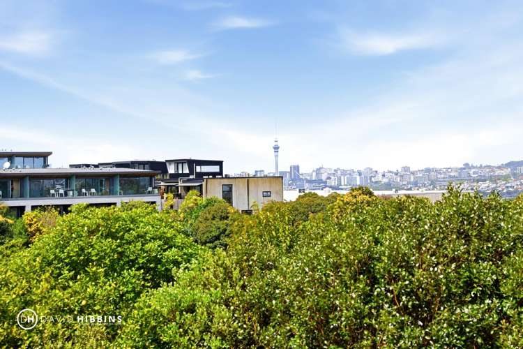 1A/68 Mokoia Road Birkenhead_10