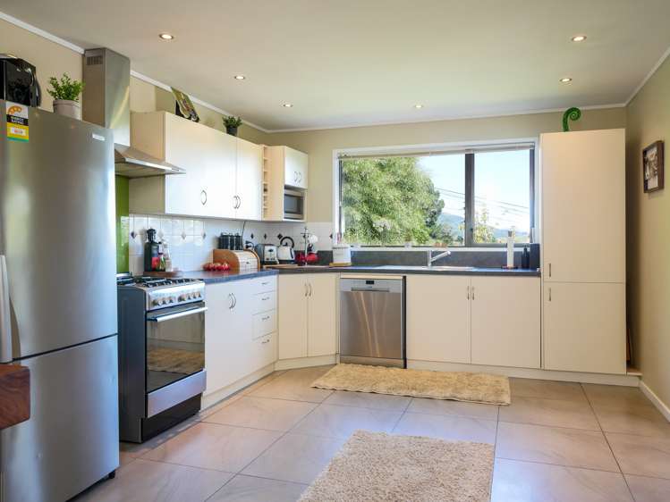 20 Owen Street Green Island_10