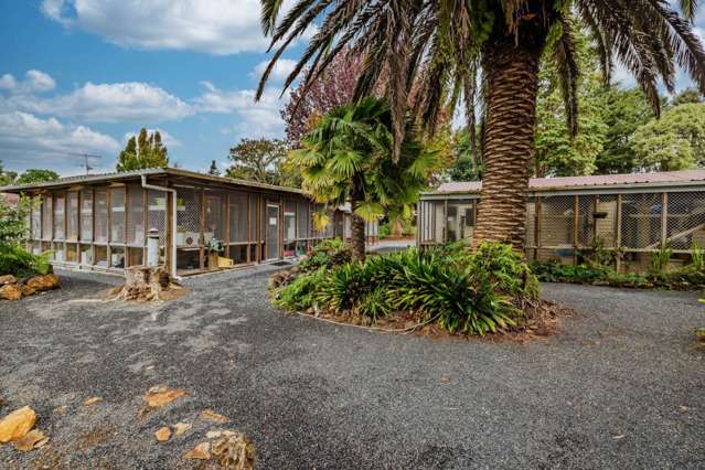 105 Kapiro Road Kerikeri_2