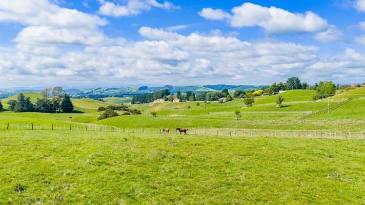 Lot 1 and 2 Taihape Road Sherenden_13