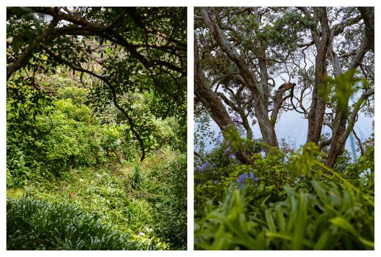 37 Pohutukawa Drive Athenree_41