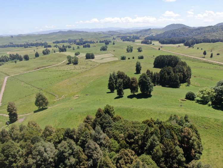 24 Pukeuha Road Aria_18