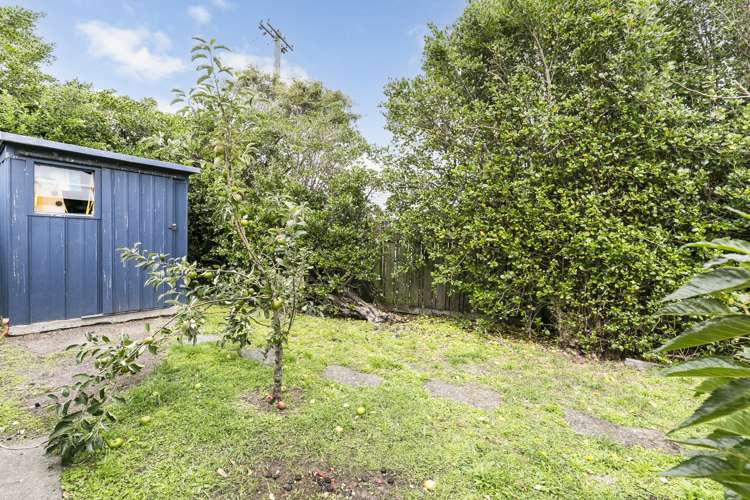 3a Liverpool Street Miramar_9