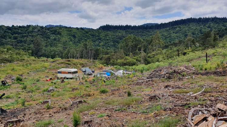 574 Honeymoon Valley Road Peria_3