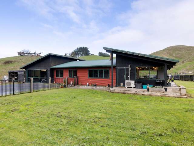 969 Waingaro Road Glen Massey_1