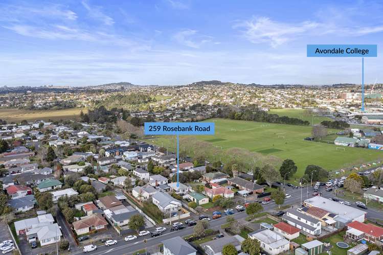 259 Rosebank Road Avondale_17