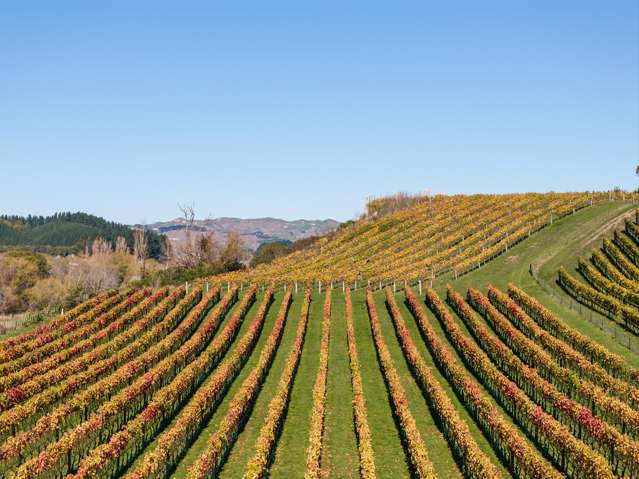 56 River Road Havelock North_1