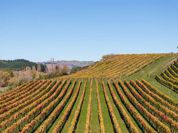 56 River Road Havelock North_1