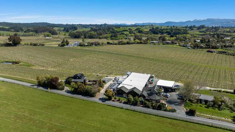 12 Sunrise Road Upper Moutere_28